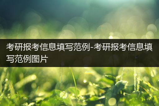 考研报考信息填写范例-考研报考信息填写范例图片