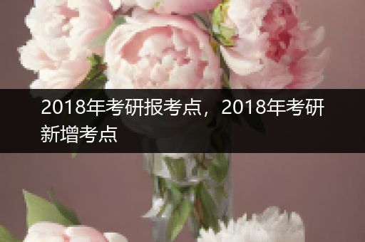 2018年考研报考点，2018年考研新增考点