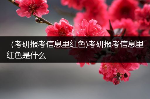 （考研报考信息里红色)考研报考信息里红色是什么