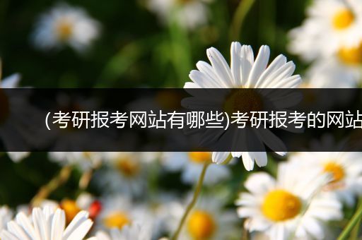 （考研报考网站有哪些)考研报考的网站