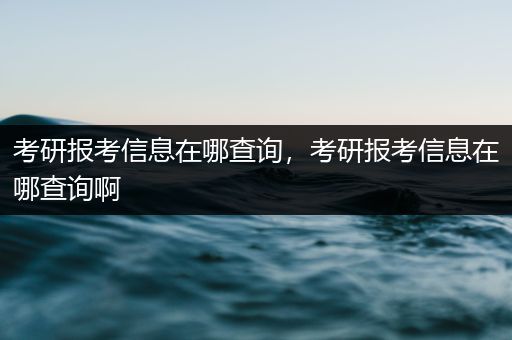 考研报考信息在哪查询，考研报考信息在哪查询啊