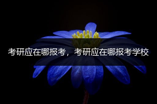 考研应在哪报考，考研应在哪报考学校