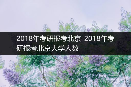 2018年考研报考北京-2018年考研报考北京大学人数