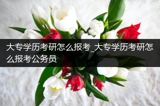 大专学历考研怎么报考_大专学历考研怎么报考公务员