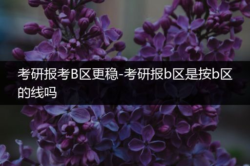 考研报考B区更稳-考研报b区是按b区的线吗