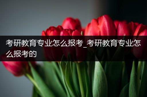 考研教育专业怎么报考_考研教育专业怎么报考的