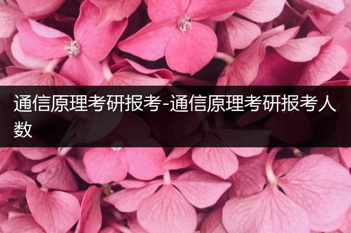 通信原理考研报考-通信原理考研报考人数