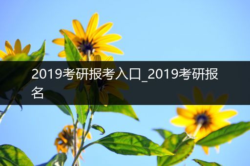 2019考研报考入口_2019考研报名