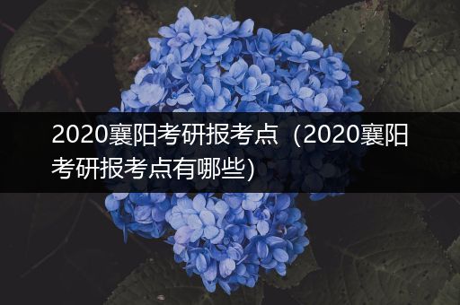 2020襄阳考研报考点（2020襄阳考研报考点有哪些）