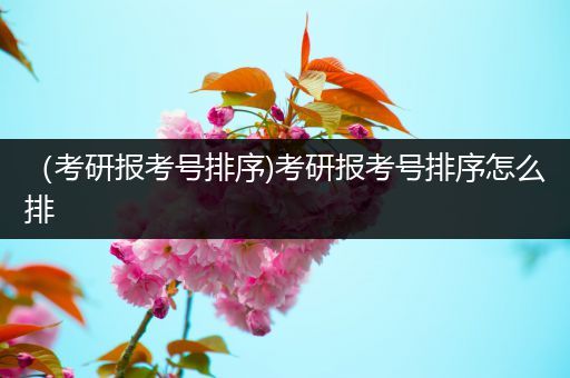 （考研报考号排序)考研报考号排序怎么排