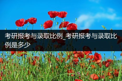 考研报考与录取比例_考研报考与录取比例是多少