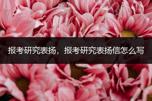 报考研究表扬，报考研究表扬信怎么写