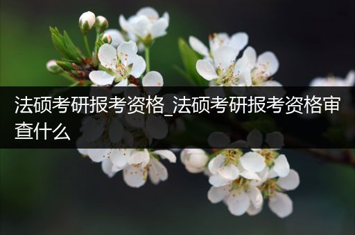 法硕考研报考资格_法硕考研报考资格审查什么