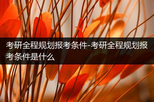 考研全程规划报考条件-考研全程规划报考条件是什么