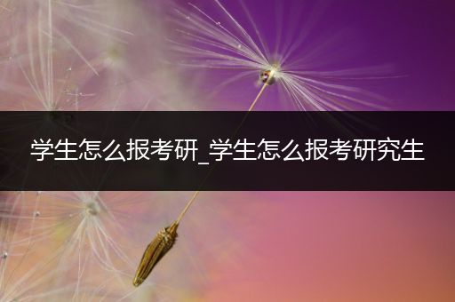 学生怎么报考研_学生怎么报考研究生