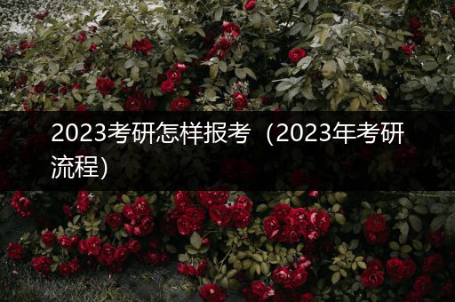 2023考研怎样报考（2023年考研流程）