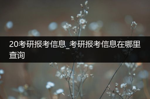 20考研报考信息_考研报考信息在哪里查询