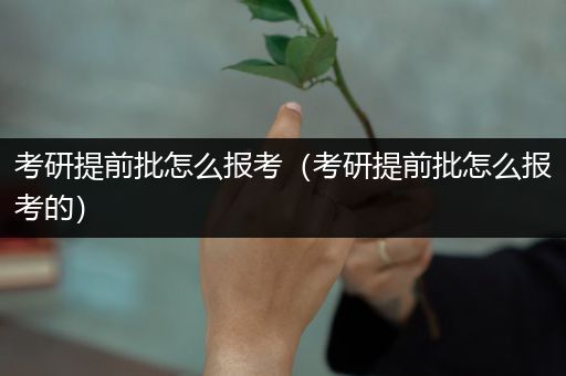 考研提前批怎么报考（考研提前批怎么报考的）