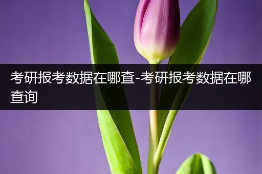 考研报考数据在哪查-考研报考数据在哪查询