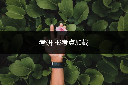 考研 报考点加载