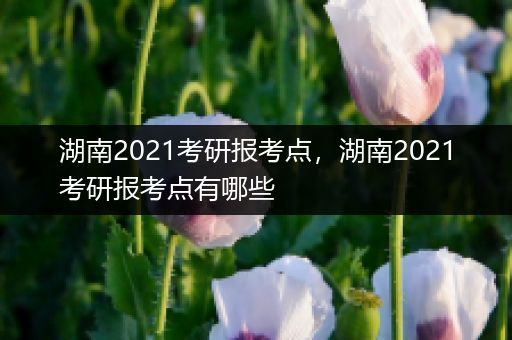 湖南2021考研报考点，湖南2021考研报考点有哪些