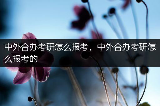 中外合办考研怎么报考，中外合办考研怎么报考的