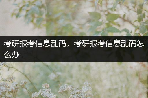 考研报考信息乱码，考研报考信息乱码怎么办