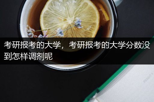 考研报考的大学，考研报考的大学分数没到怎样调剂呢