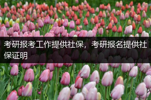 考研报考工作提供社保，考研报名提供社保证明