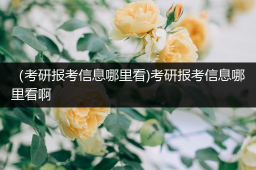 （考研报考信息哪里看)考研报考信息哪里看啊