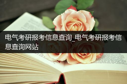 电气考研报考信息查询_电气考研报考信息查询网站