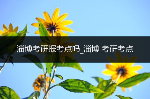 淄博考研报考点吗_淄博 考研考点