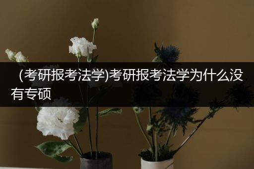 （考研报考法学)考研报考法学为什么没有专硕