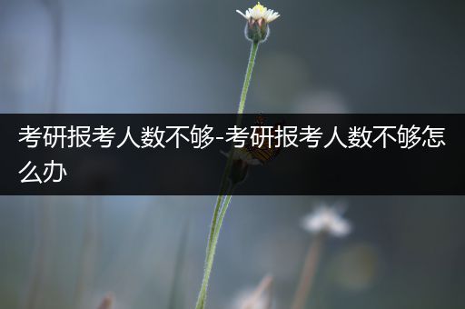 考研报考人数不够-考研报考人数不够怎么办