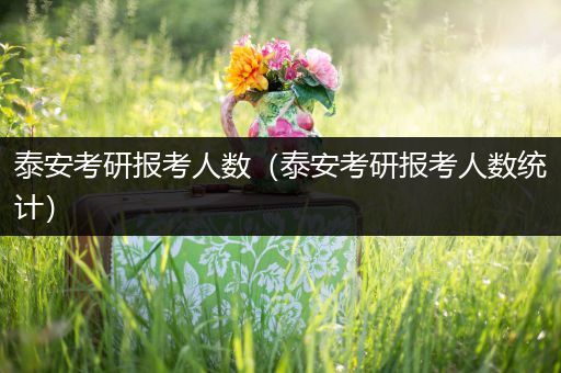 泰安考研报考人数（泰安考研报考人数统计）