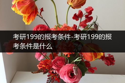 考研199的报考条件-考研199的报考条件是什么