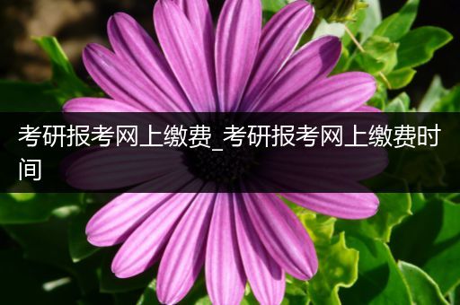 考研报考网上缴费_考研报考网上缴费时间