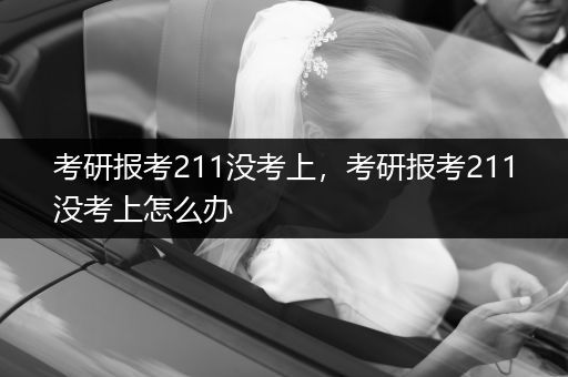 考研报考211没考上，考研报考211没考上怎么办