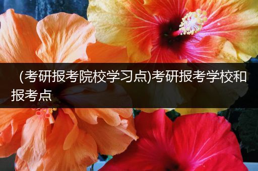 （考研报考院校学习点)考研报考学校和报考点