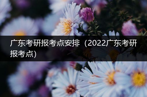 广东考研报考点安排（2022广东考研报考点）