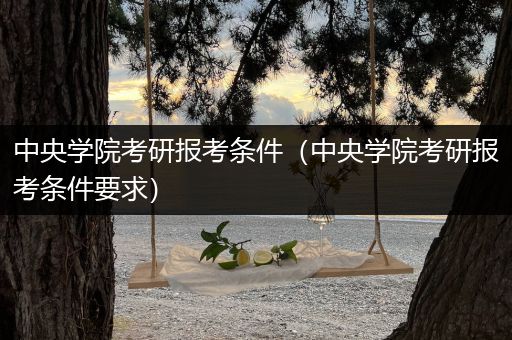 中央学院考研报考条件（中央学院考研报考条件要求）