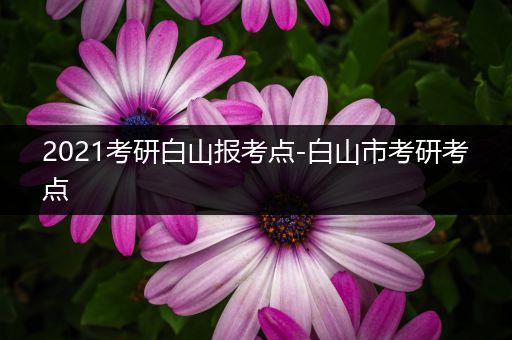 2021考研白山报考点-白山市考研考点