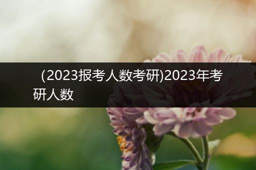 （2023报考人数考研)2023年考研人数