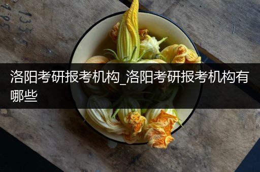 洛阳考研报考机构_洛阳考研报考机构有哪些