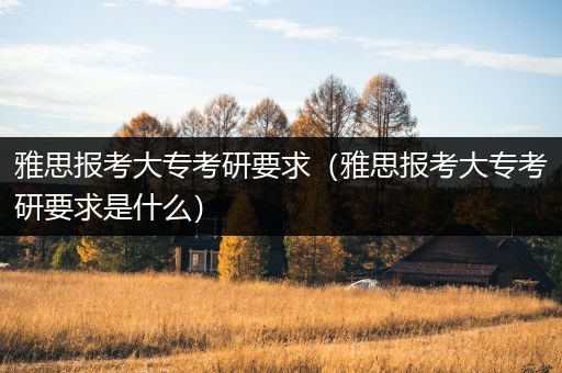 雅思报考大专考研要求（雅思报考大专考研要求是什么）