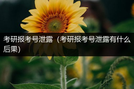 考研报考号泄露（考研报考号泄露有什么后果）