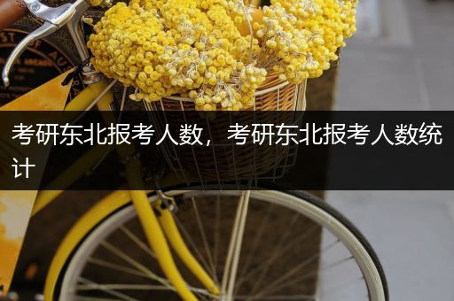 考研东北报考人数，考研东北报考人数统计