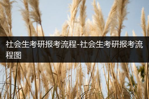 社会生考研报考流程-社会生考研报考流程图