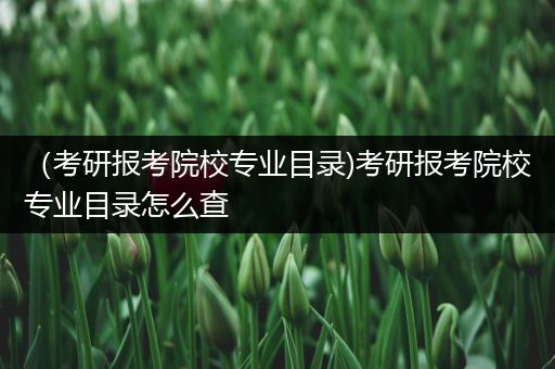 （考研报考院校专业目录)考研报考院校专业目录怎么查