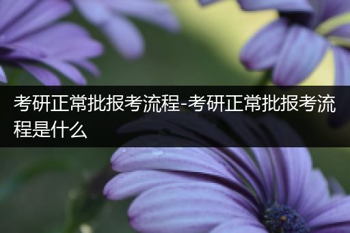 考研正常批报考流程-考研正常批报考流程是什么